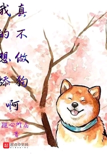 我真的不想做舔狗啊