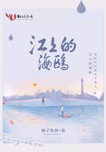 江上的海鷗