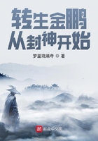 转生金鹏，从封神开始在线阅读