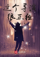 这个导演很正经在线阅读