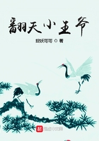 绝命小王爷