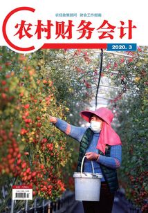 農(nóng)村財務(wù)會計(jì)(2020年第3期)
