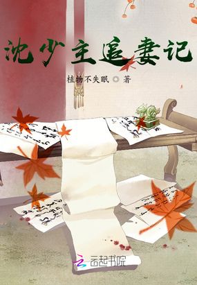 沈少主追妻记在线阅读