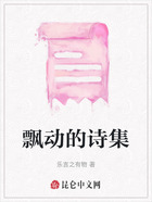 飄動的詩集在線閱讀