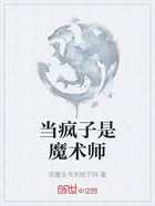 当疯子是魔术师在线阅读