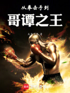 从拳击手到哥谭之王在线阅读