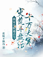 我家小院通古今,灾荒年盘活十万大军在线阅读