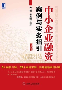 中小企業融資：案例與實務指引