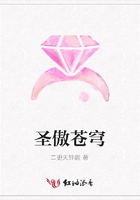 圣傲苍穹在线阅读
