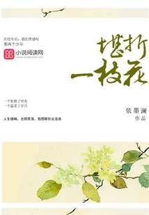 堪折一枝花