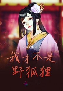 我才不是野狐貍