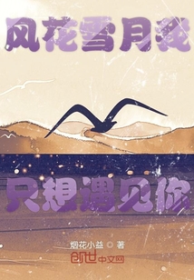 風花雪月我只想遇見你