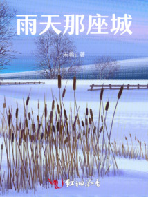 雨天那座城