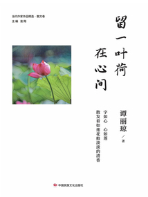 留一叶荷在心间