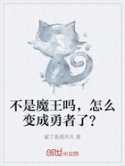 不是魔王吗，怎么变成勇者了？在线阅读