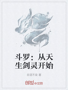 斗罗:从天生剑灵开始在线阅读