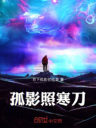 孤影照寒刀在线阅读