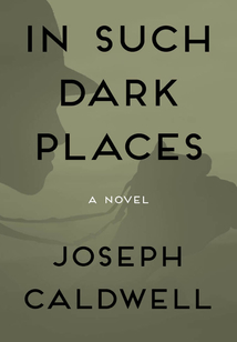 In Such Dark Places