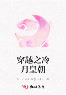 穿越之冷月皇朝