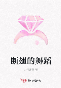 斷翅的舞蹈