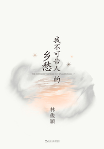 我不可告人的鄉愁
