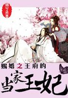 赐婚之王府的当家王妃在线阅读