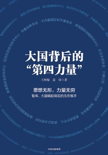 大國背后的“第四力量”