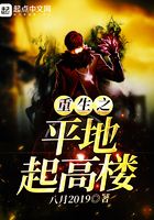 重生之平地起高樓在線閱讀