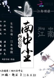 婉心只待南中塵