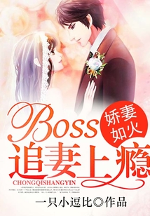 娇妻如火:BOSS追妻上瘾