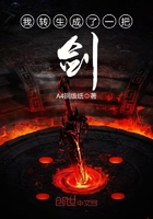 我轉(zhuǎn)生成了一把劍在線閱讀