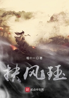扶风珏在线阅读