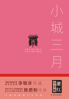 萧红小全集:小城三月(精装)在线阅读