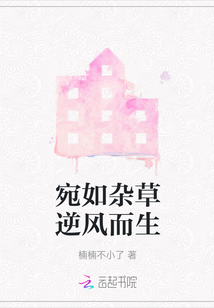 宛如杂草逆风而生