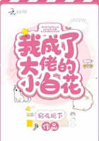 我成了大佬的小白花在线阅读