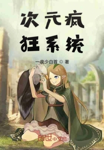 次元瘋狂系統