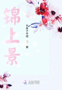 錦上景