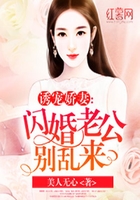 闪婚老公别乱来