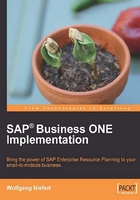 SAP Business ONE Implementation在线阅读