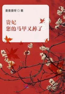 貴妃，您的馬甲又掉了