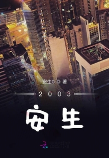 2003安生