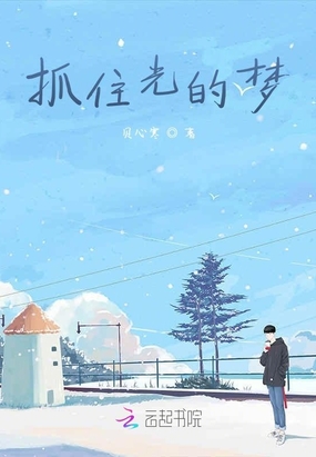 抓住光的梦在线阅读