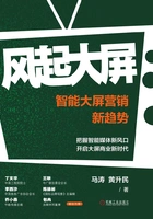 风起大屏：智能大屏营销新趋势在线阅读