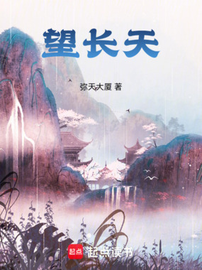 望长天在线阅读