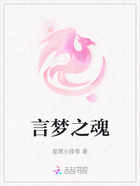 言梦之魂在线阅读