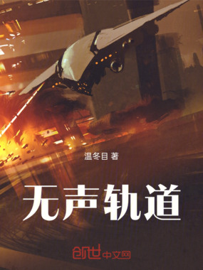 无声轨道在线阅读