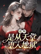 爱你,是从天堂堕入地狱在线阅读