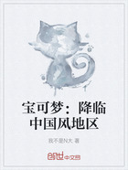 宝可梦:降临中国风地区在线阅读