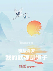 模拟斗罗,我的武魂是镜子 封面