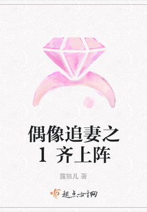 偶像追妻之萌寶齊上陣
